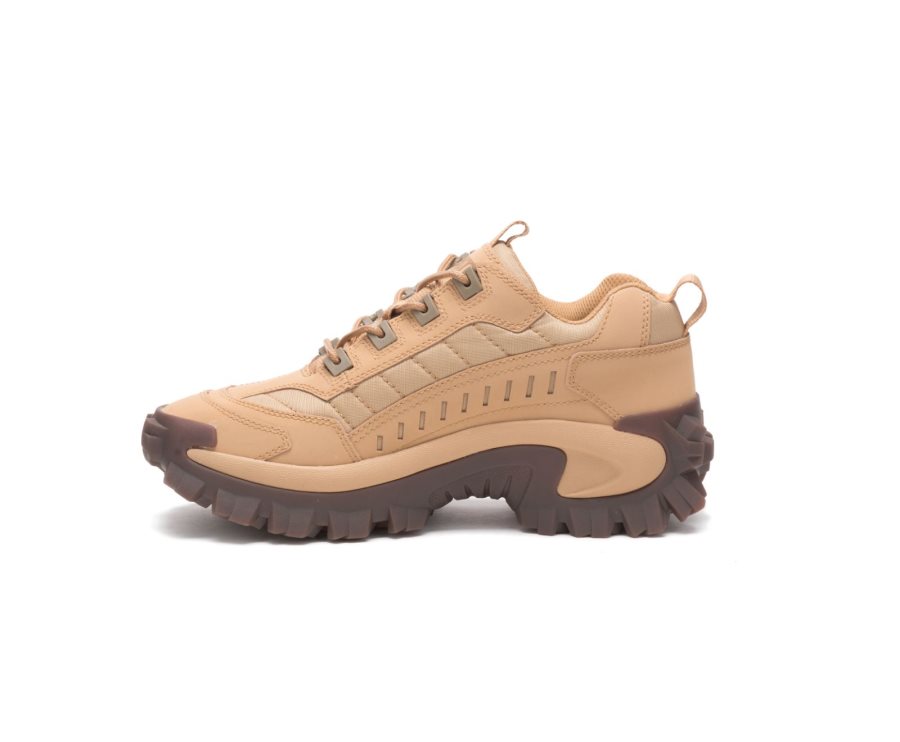 Caterpillar CAT Intruder Shoe Women's Casual Shoes Brown | CAT-139GK