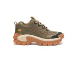 Dark Olive / Brown